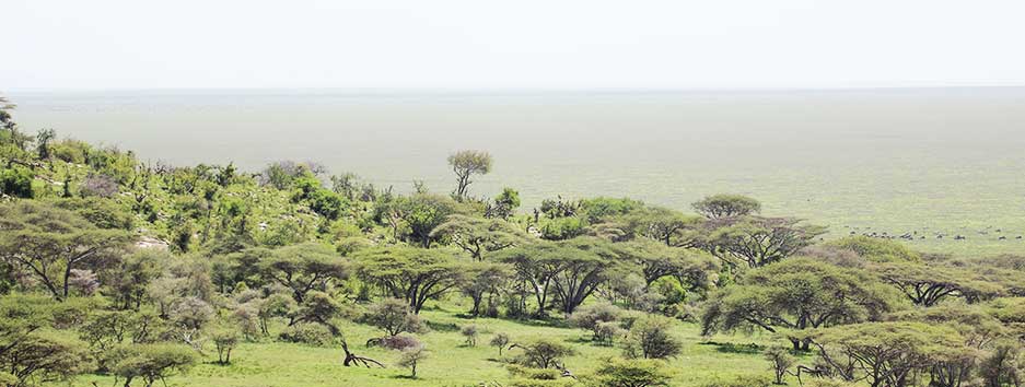SERENGETI-TO-NGORONGORO