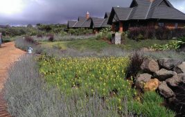 The Retreat at Ngorongoro 6