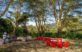 ngorongoro serena 9