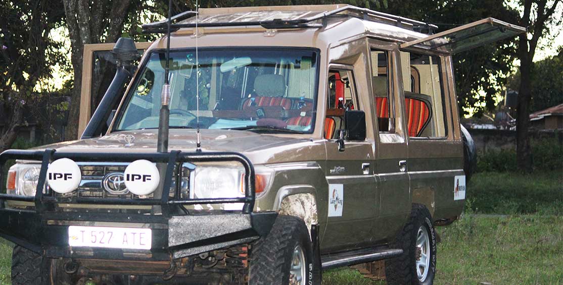 Safari-Jeep