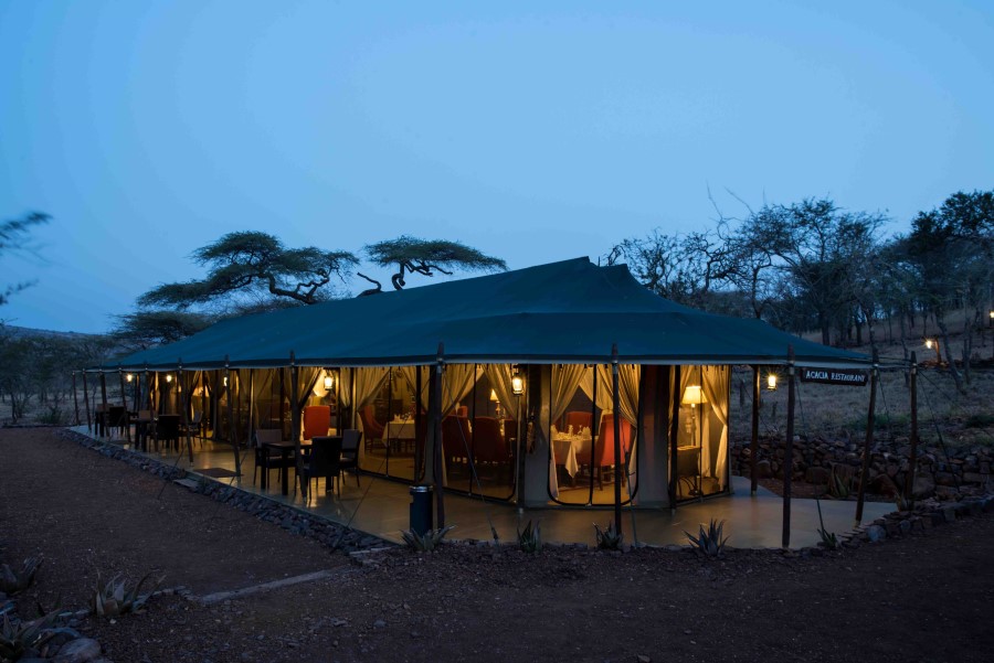 Oleserai Luxury Tented Camp Moru kopjes | Tanzania Safari | Safari in ...