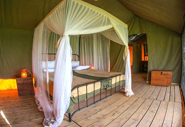 Accommodations in Serengeti | Serengeti Lodges & Camps