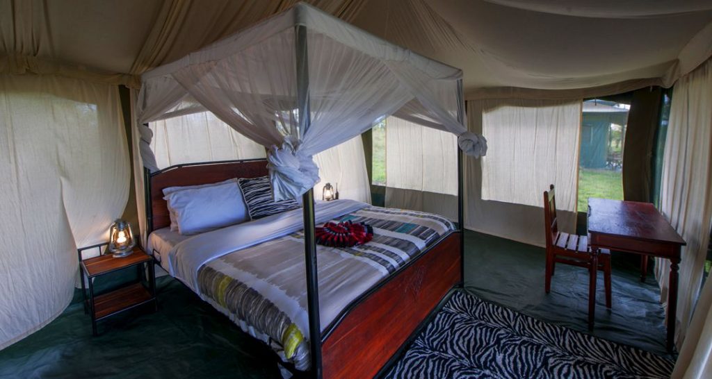 Single | Tanzania Safari | Safari in Tanzania | Tanzania Safari Tours