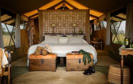 Serengeti safari Camp 2