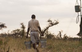 Serengeti safari camp 4