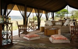 Serengeti safari camp 7